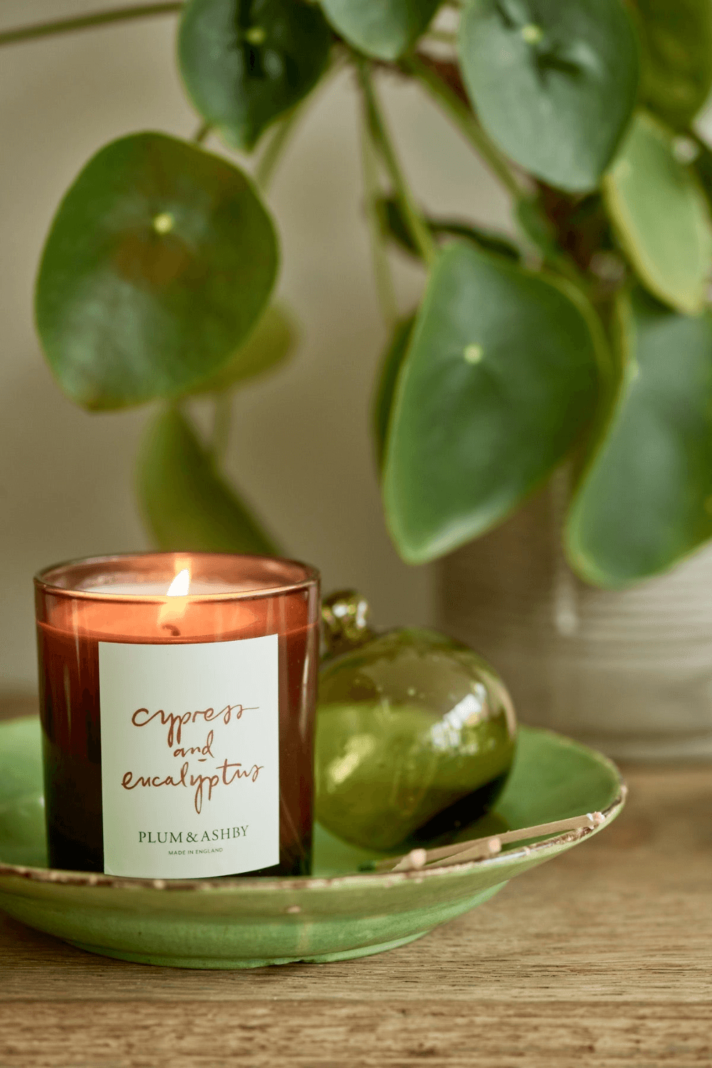 Cypress and Eucalyptus Candle