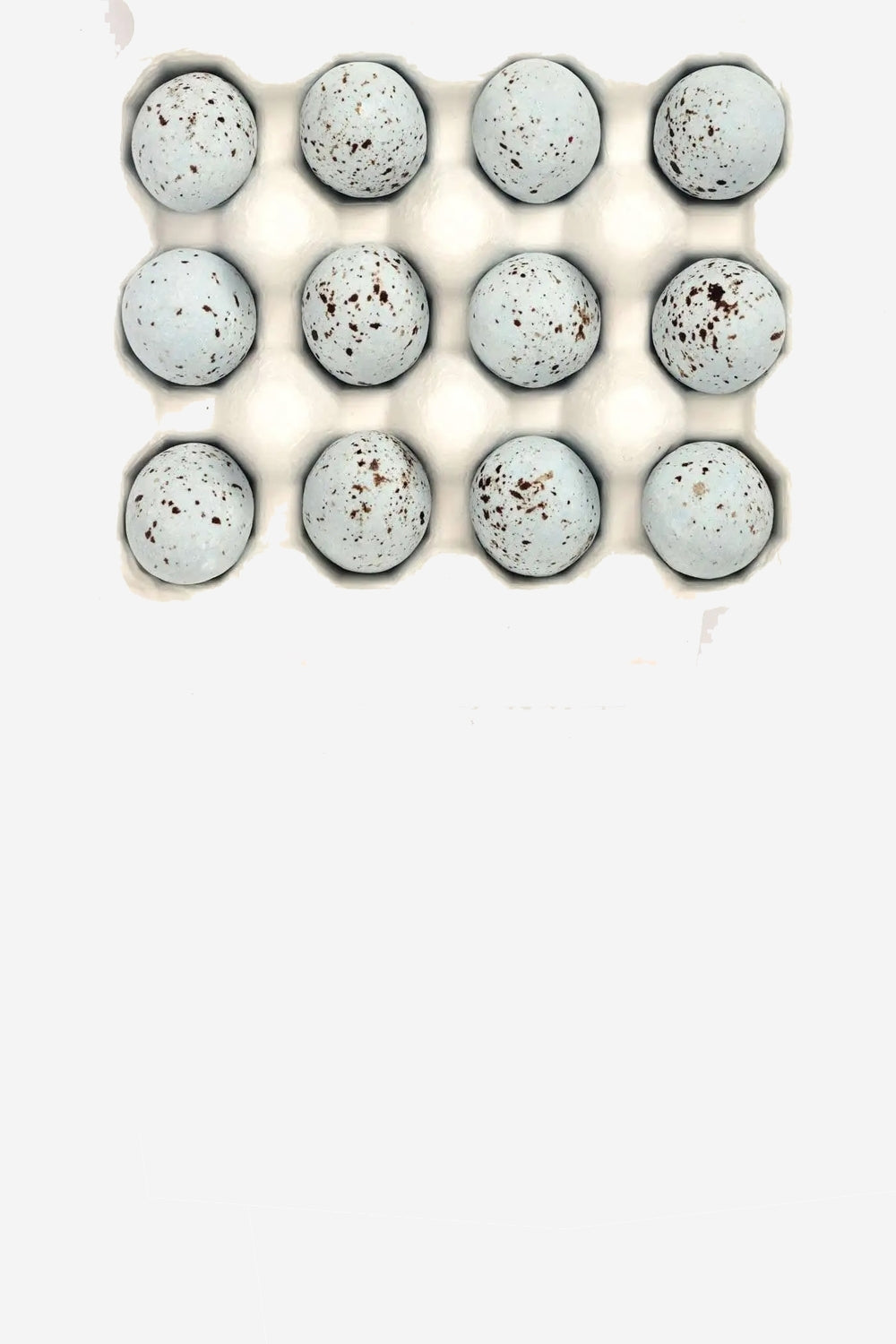 12 Song Thrush Eggs 150g
