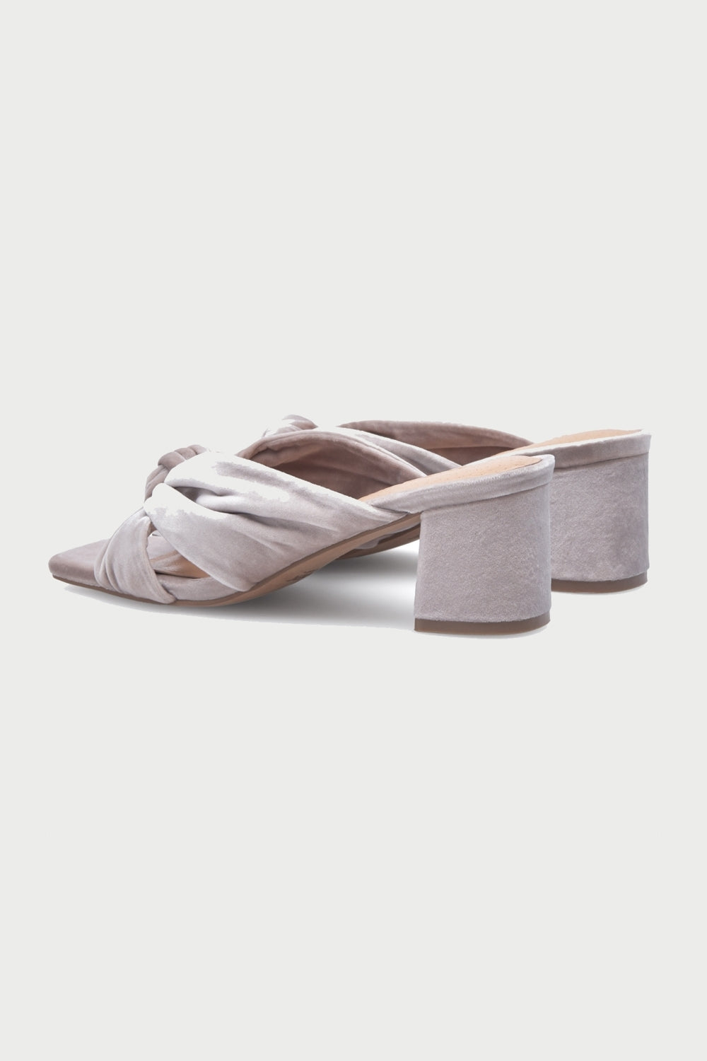 Carla Block Heel Velvet Mule in Powder