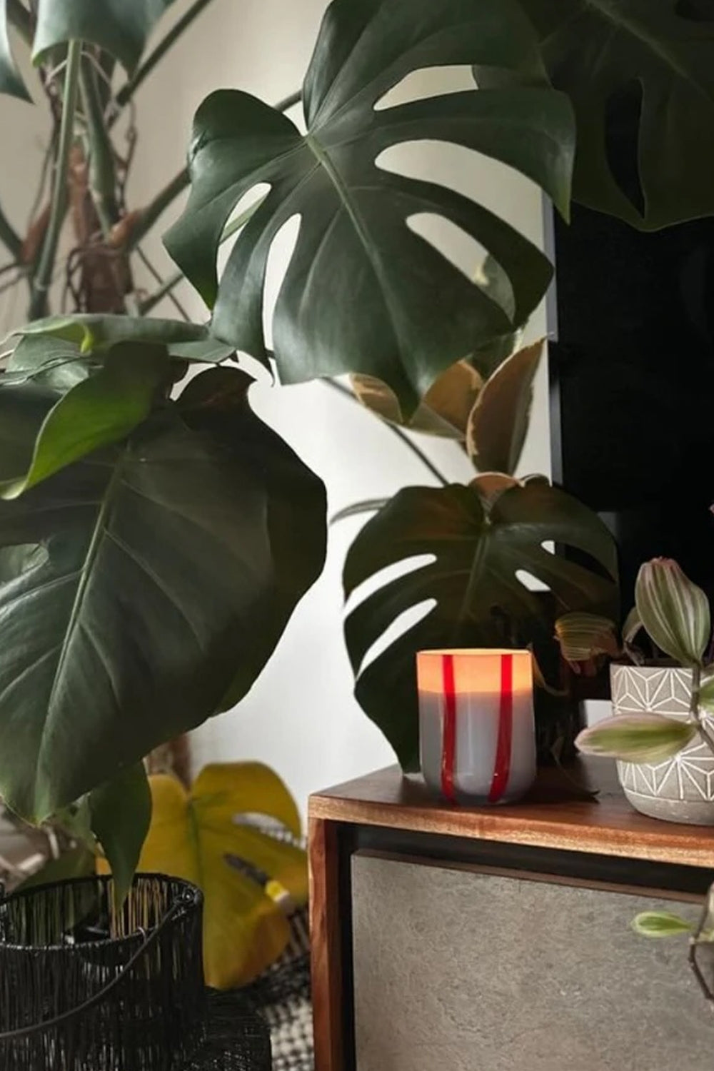 Atina Candle in Tomato & Mint Leaf