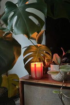 Atina Candle in Orange Blossom & Basil