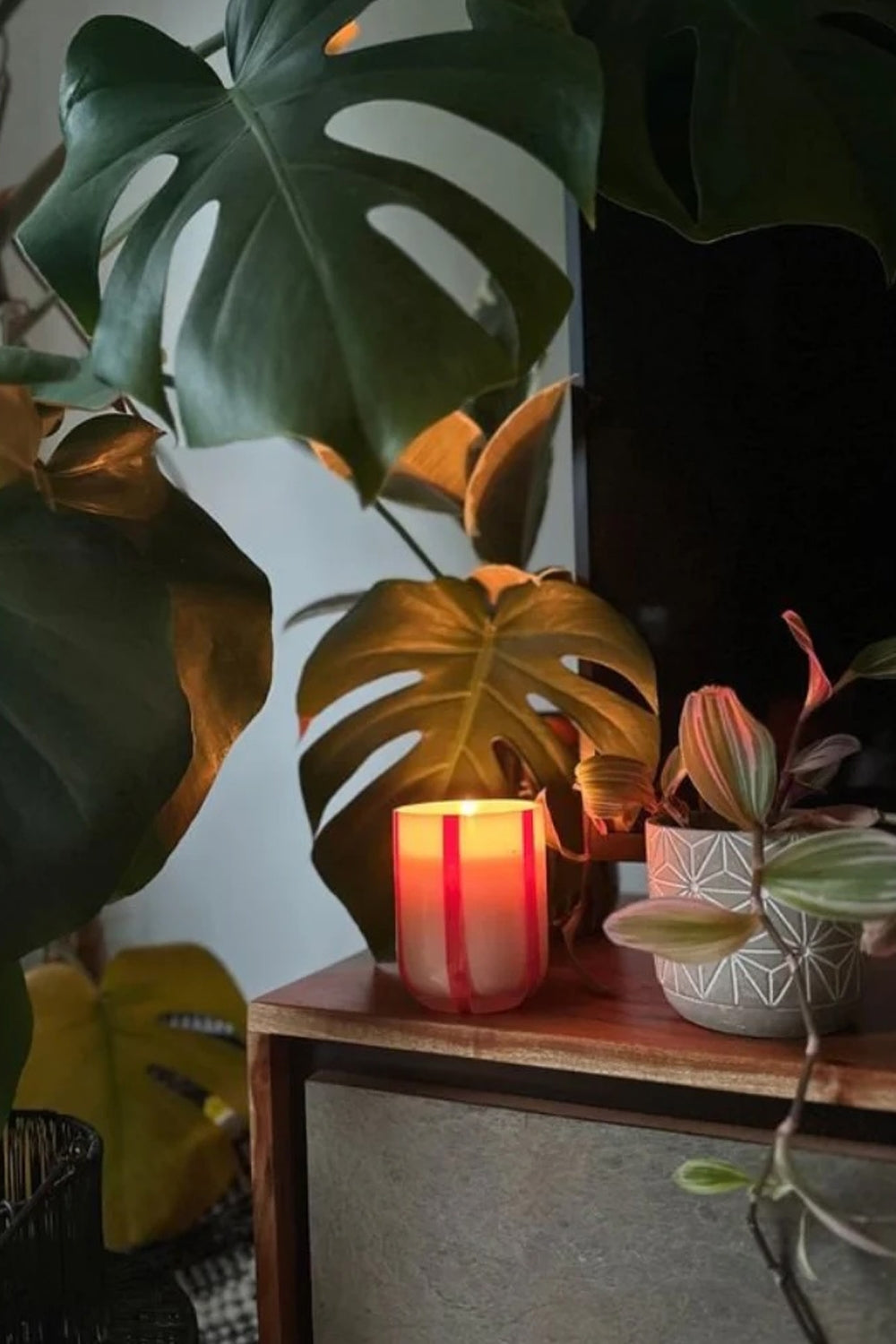 Atina Candle in Orange Blossom & Basil