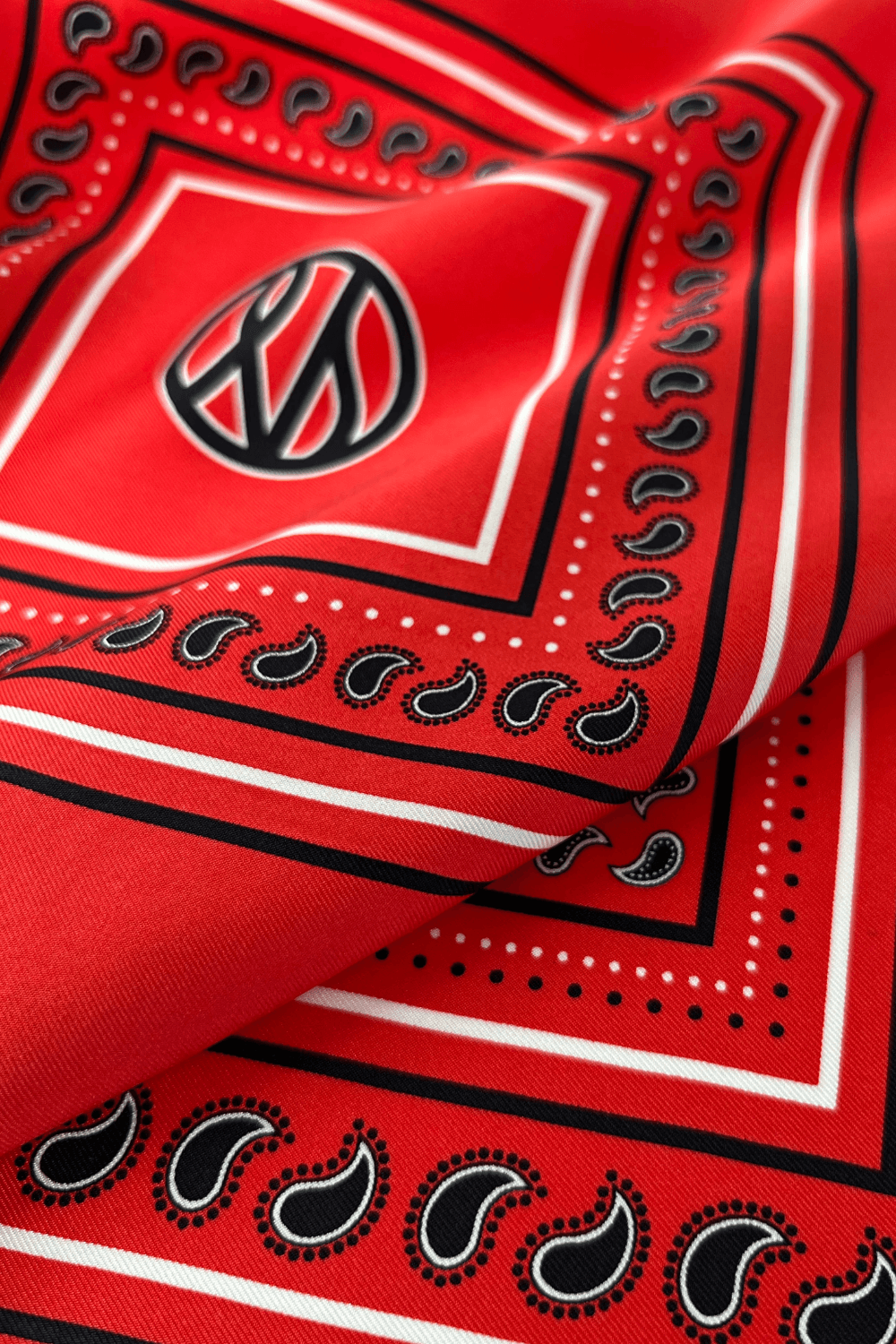 Silk Paisley Scarf in Red