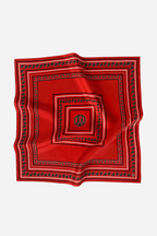 Silk Paisley Scarf in Red