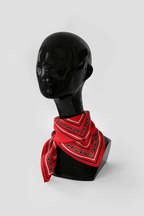 Silk Paisley Scarf in Red