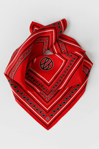 Silk Paisley Scarf in Red
