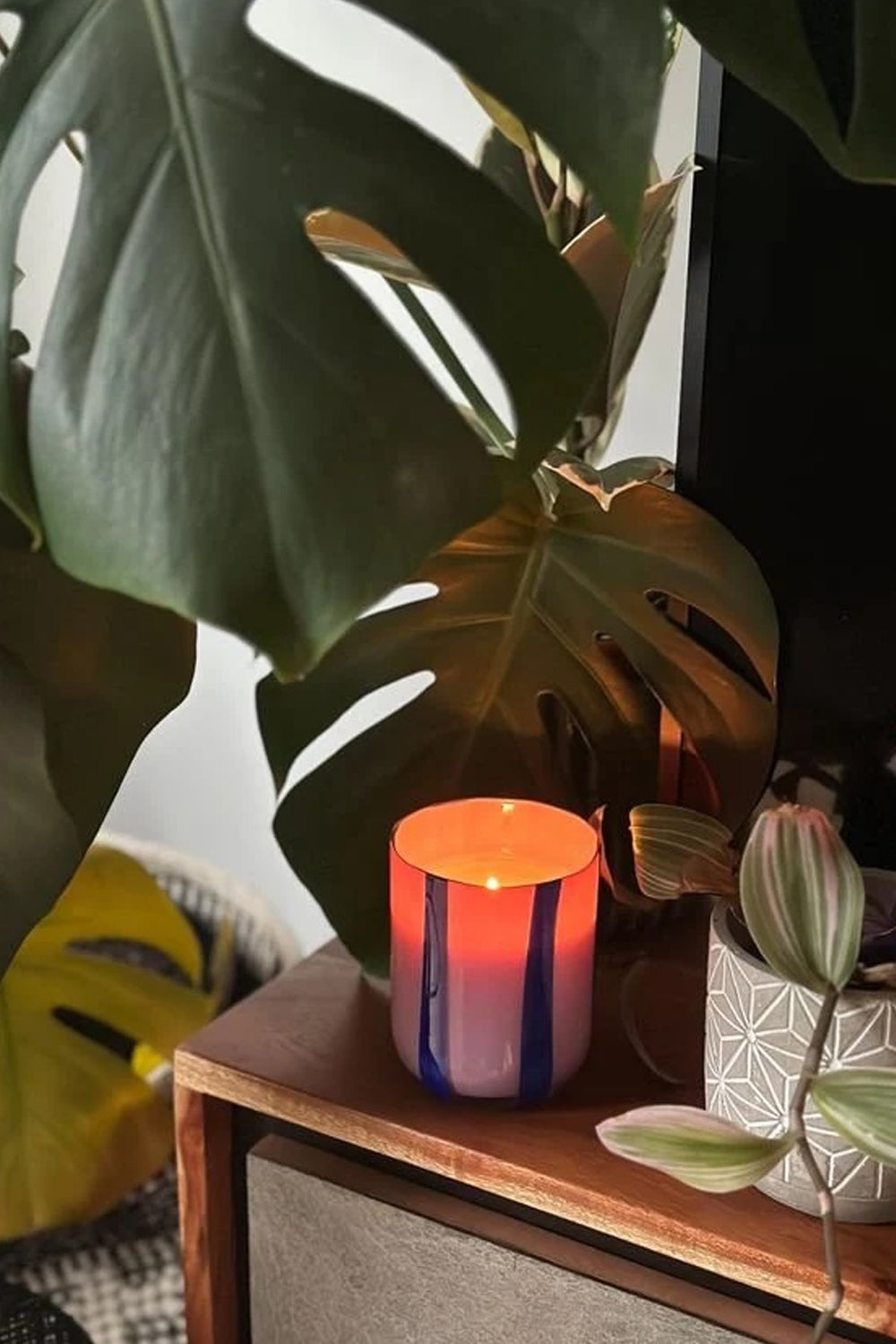 Atina Candle in Blackcurrant & Oudh