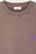 Plizzy Sweatshirt in Vintage Chestnut