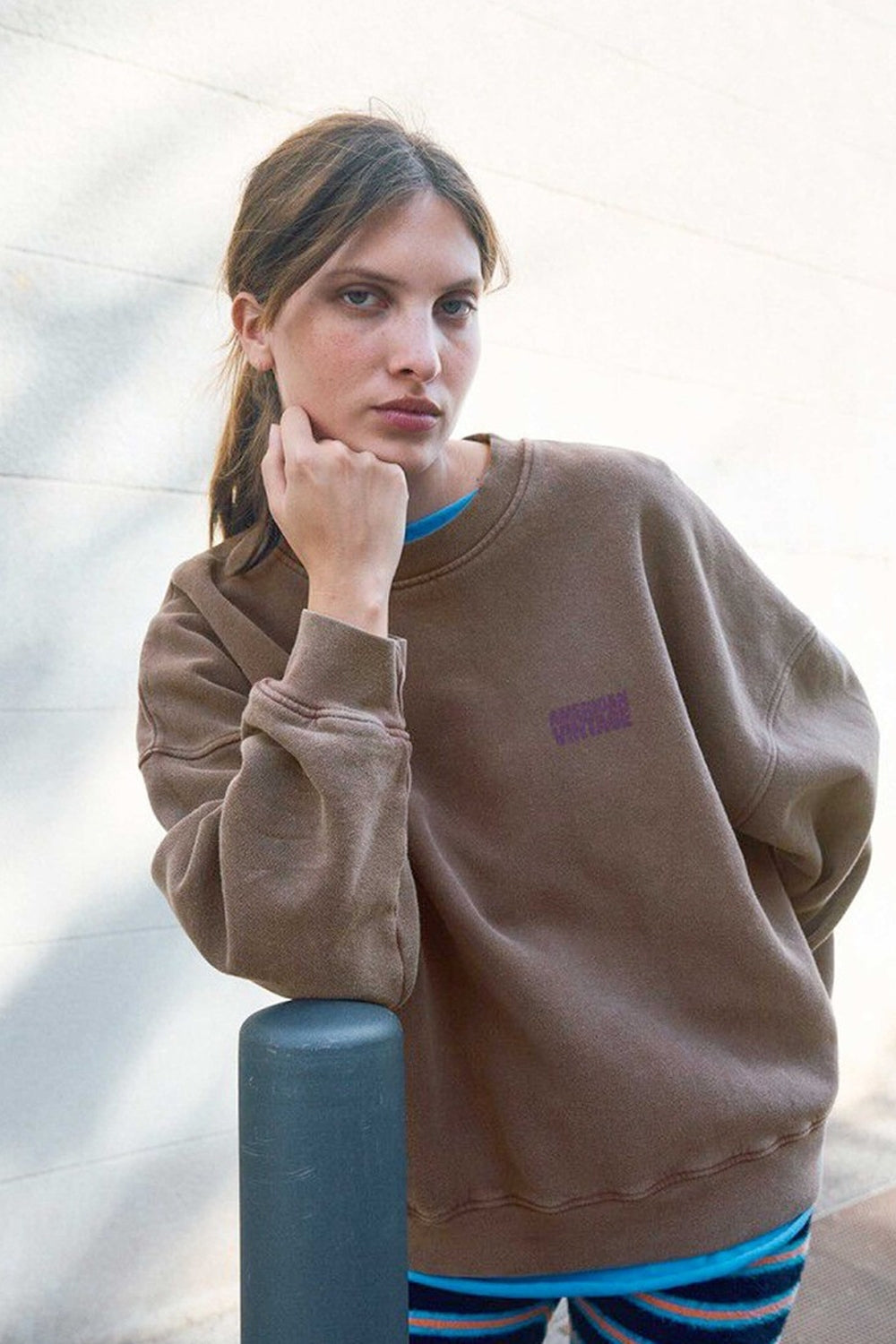 Plizzy Sweatshirt in Vintage Chestnut
