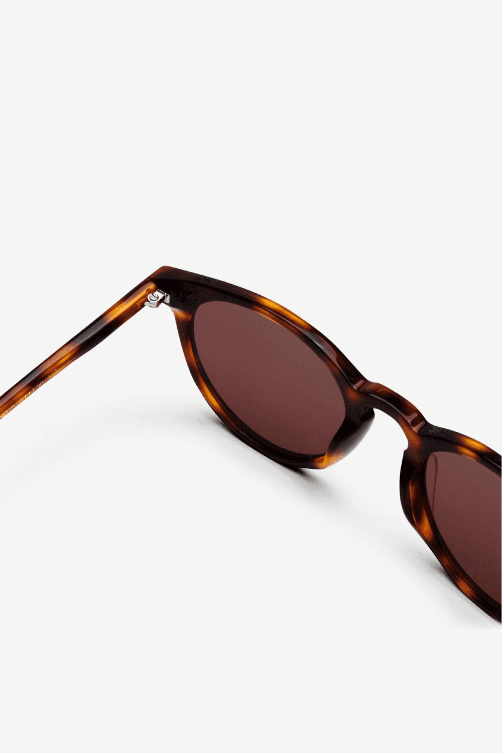 New Depp in Brown Tortoise