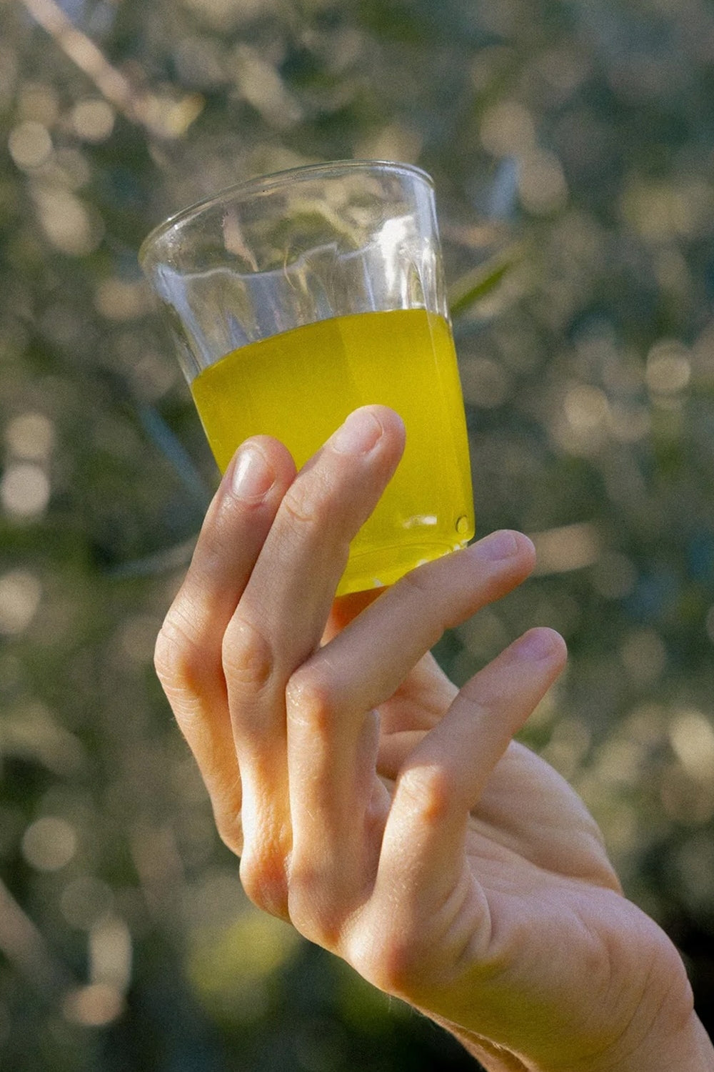 Extra Virgin Olive Oil