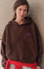 American Vintage Plizzy Hooded Sweatshirt in Vintage Chestnut