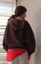 American Vintage Plizzy Hooded Sweatshirt in Vintage Chestnut