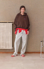 American Vintage Plizzy Hooded Sweatshirt in Vintage Chestnut