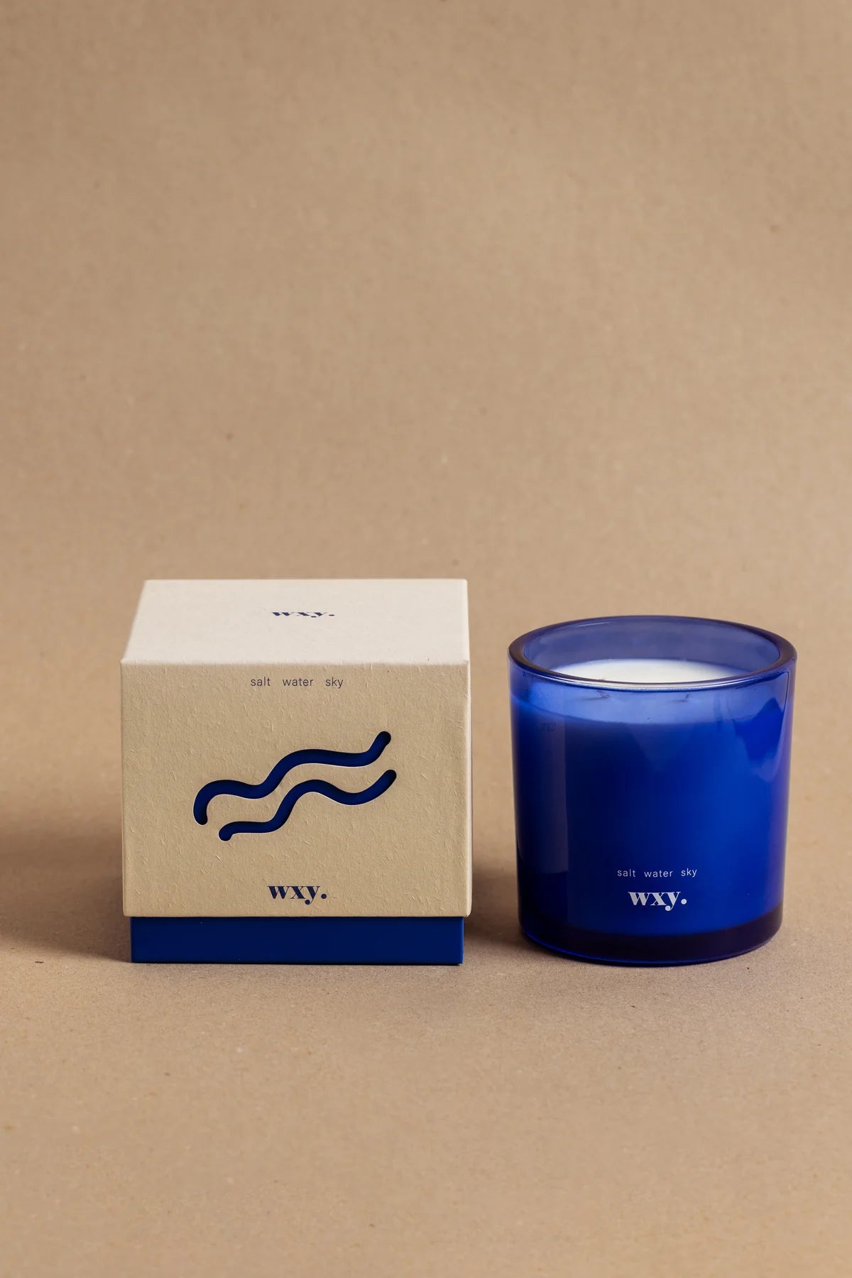WXY Roam Candle in Salt, Water and Sky - 12.5oz