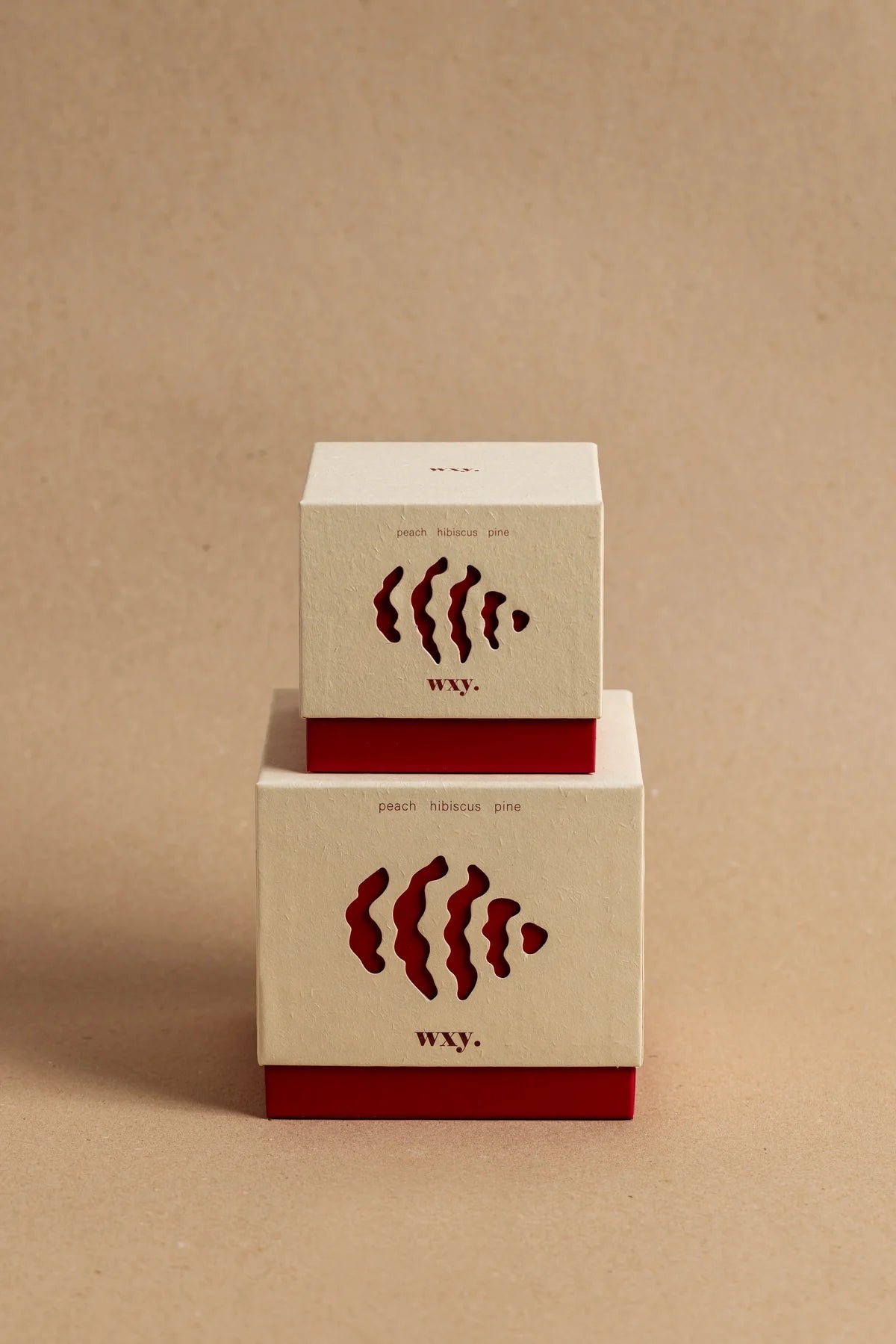 WXY Roam Candle in Peach, Hibiscus and Pine - 12.5oz