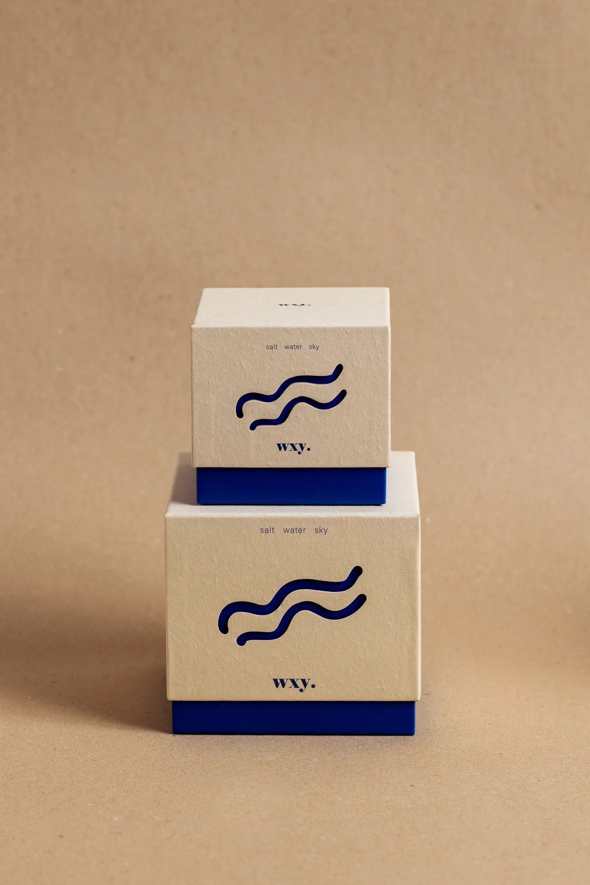 WXY Roam Candle in Salt, Water and Sky - 12.5oz
