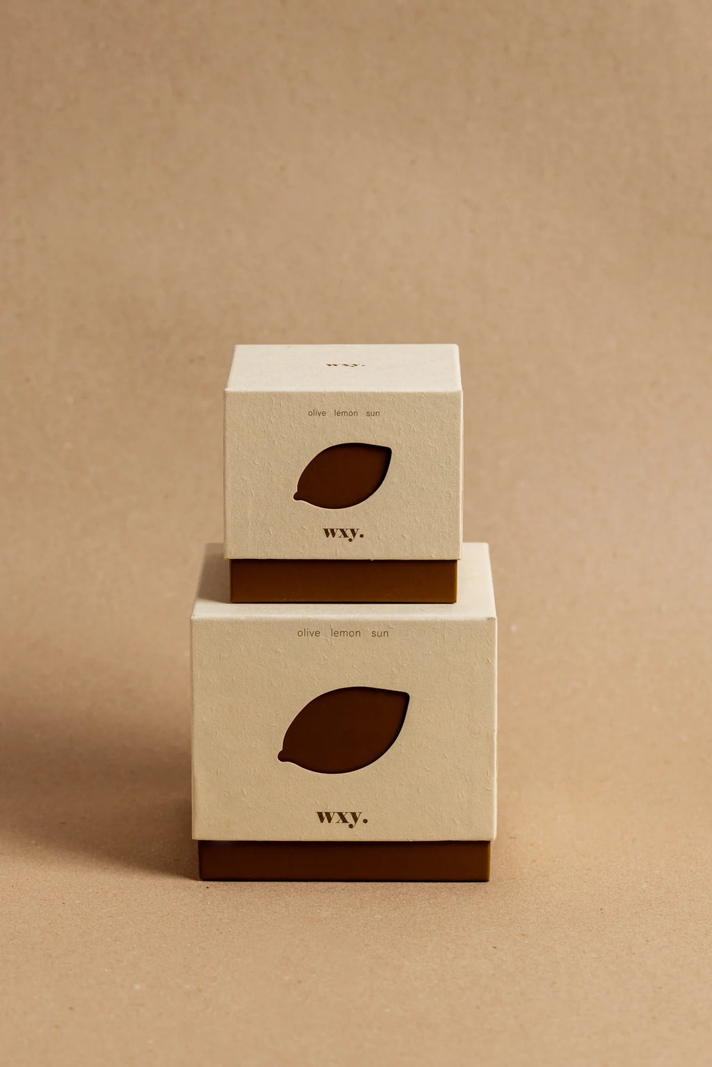 WXY Roam Candle in Olive, Lemon and Sun - 12.5oz