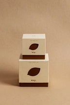 WXY Roam Candle in Olive, Lemon and Sun - 12.5oz