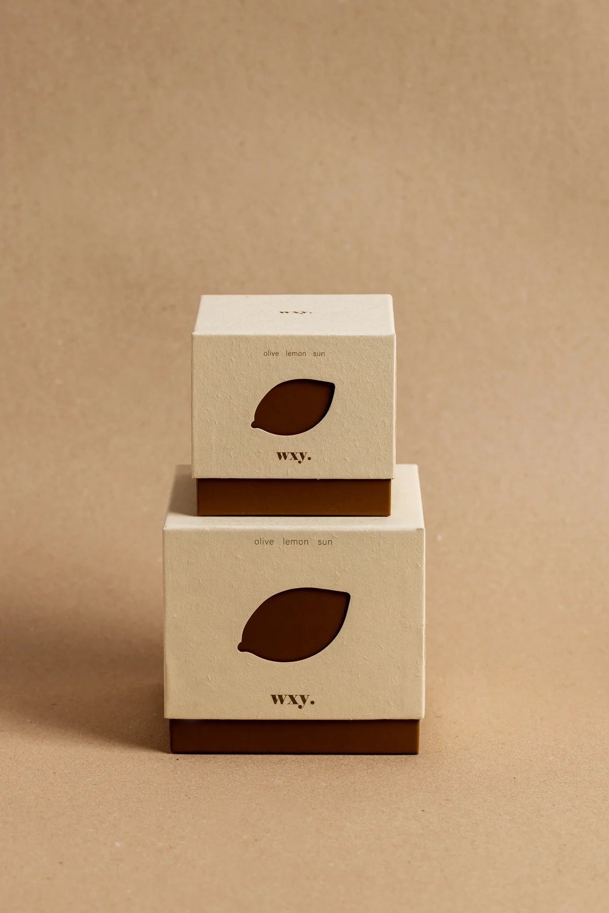 WXY Roam Candle in Olive, Lemon and Sun - 12.5oz
