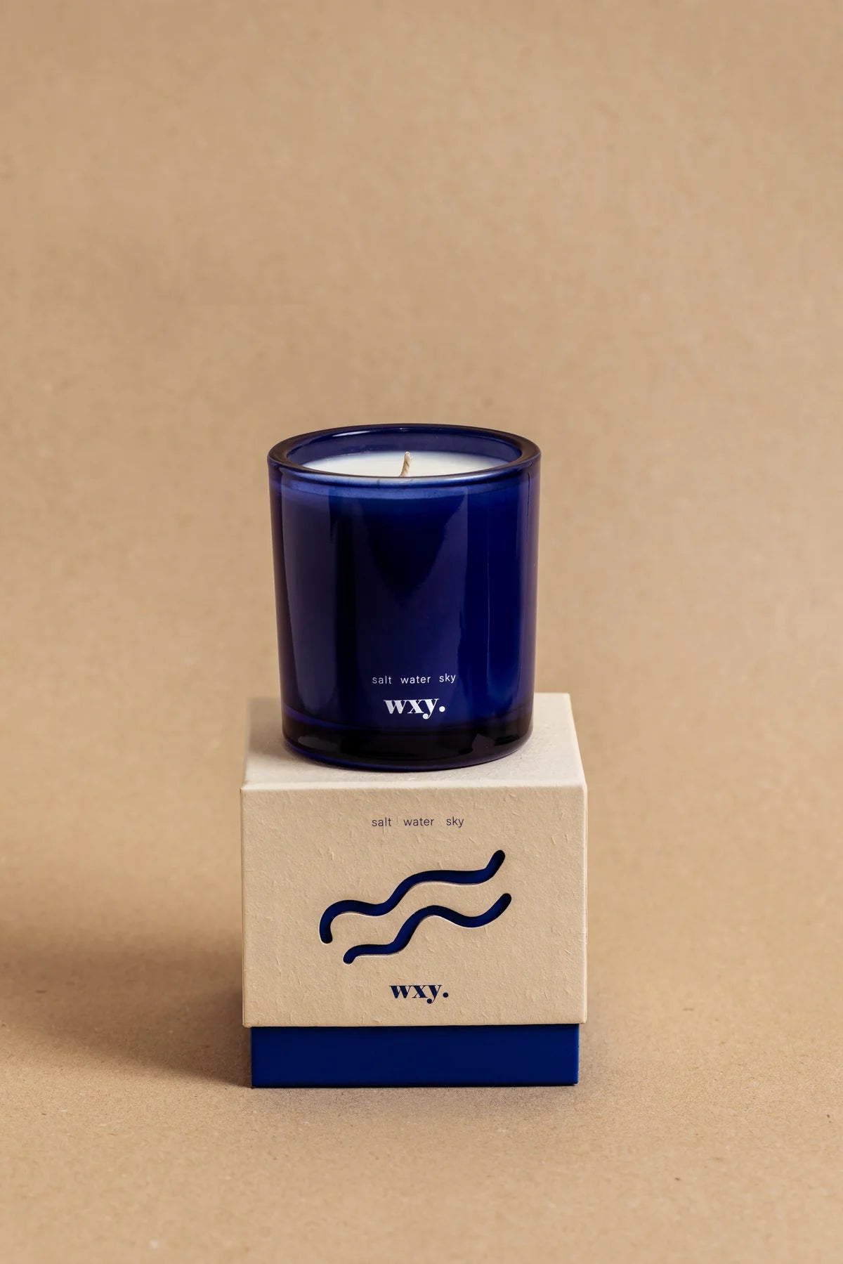 WXY Roam Candle in Salt, Water and Sky - 12.5oz