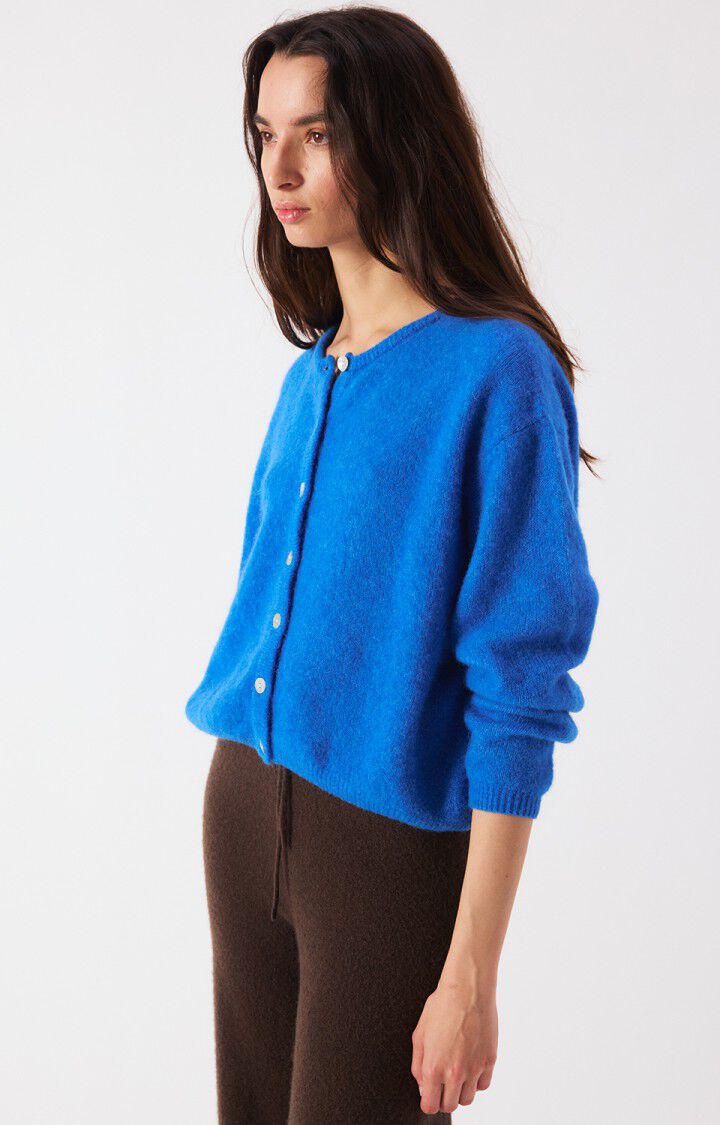 American Vintage Vitow Cardigan in Curacao Melange